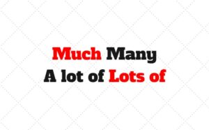 Much many a lot of lots of